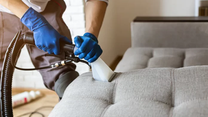 The Cost of Upholstery Services: What to Expect