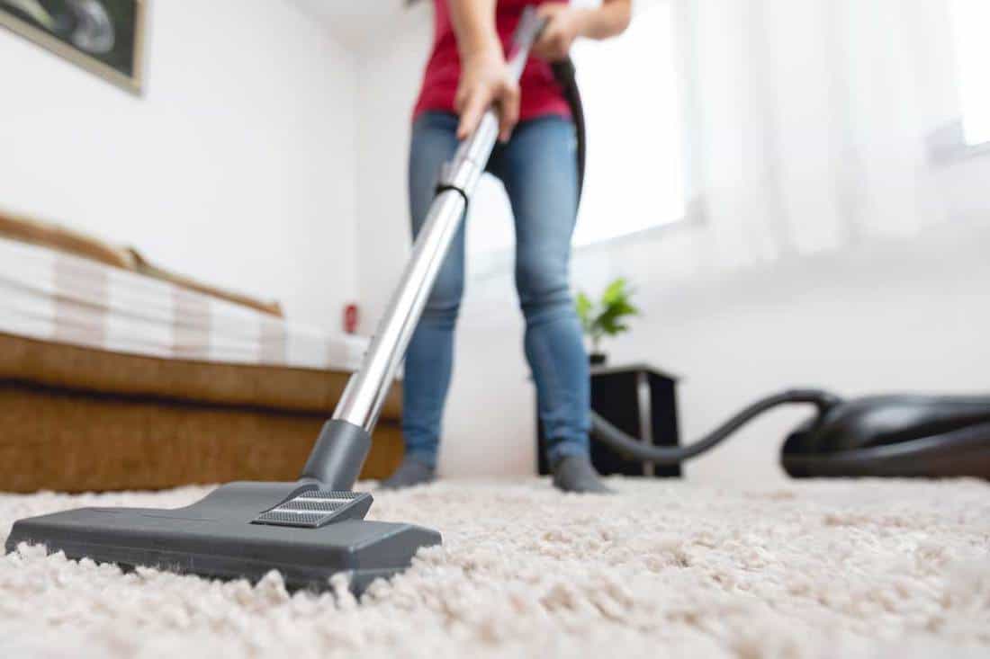 The Benefits of Carpet Cleaning for Workplace Productivity