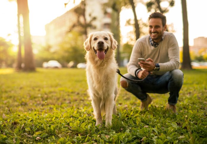 How to Choose the Right Pet for Your Lifestyle