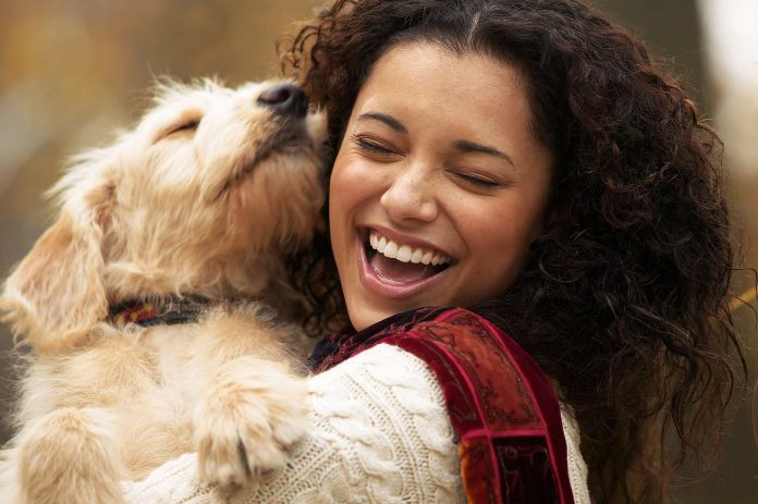How to Keep Your Pet Healthy and Happy