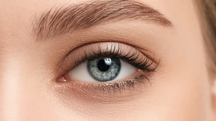 All About Eyebrow and Eyelash Maintenance: Tips and Tricks for Keeping Them Looking Great
