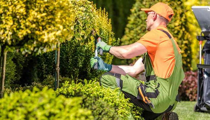 How To Find The Right Landscape Company